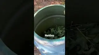 Free Organic Plant Food For Life&hellip; Super easy to make! # #growyourownfood #shortsclip #sustainability