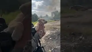 IDF Soldiers Rescue A Puppy In Gaza  #israel #war #idf #dogrescue
