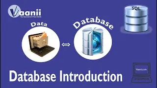 SQL Journey 1: Database Introduction (The First Step towards Database Learning)