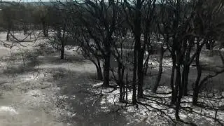 Drone Video Shows Scorched Terrain After Bushfire in Forrestdale