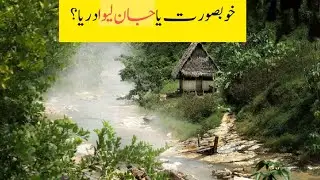 The Mysterious Boiling River | Boiling River in Amazon Forest | Explained in Hindi/Urdu