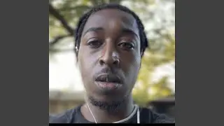 Donkey