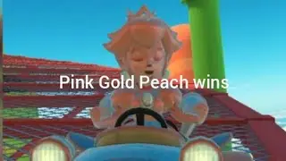 Pink Gold Peach wins at Big Reverse Race in 3DS Rock Rock Mountain (150cc)
