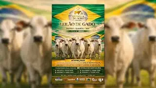 LEILÃO GADO DE CORTE ESTRELA DO AGRO LEILÕES  FAINA-GO 04/02/2026 | Leilão ao Vivo - Leilão de Gado