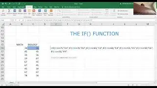 IF Function Tutorial - Excel IF Formula Explained (Excel 2020)