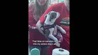 @kendallrowedyer: Самый смешной и милый опыт в моей жизни😫 Мы были буквально в нескольких часах е...