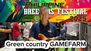 Martin Escolin Green Country Gamefarm philippine Breeders Festival 2025 @ Smx || Reggie Boi