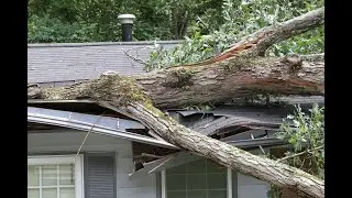 Why You Need A Public Adjuster? | Part 1 |What Insurance Companies Will Not Tell You!
