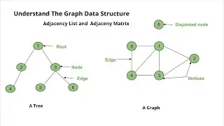 Data structures: Introduction to graphs