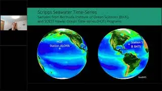 Upper ocean carbon cycle dynamics