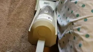 Amazing carpet cleaning results using The Workhorse, CRB & Secret sauce | satisfying video