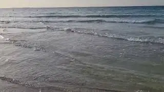 Недвижимость в Дубае на берегу Арабского залива...
