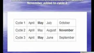 Stock Options Expiration Cycles