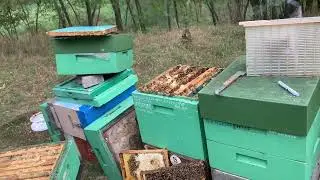 102/25 Izolace matek. M&aacute; to je&scaron;tě cenu ? Přečtěte si koment&aacute;ř. Kdy 2 matky do izol&aacute;toru 17.9. 25