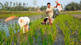 Amazing Fish Trap | Traditional Hook Fishing With Bamboo Tools | Fishing With Beautiful Nature