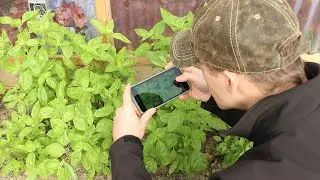 Shooting Farm Videos on Your Phone? Here's How.