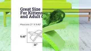 Watch Petstages Easy   n Live 2