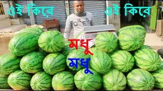 এই শীতে 80 টাকায় 10 কেজি ওজনের তরমুজ। #food #watermelon