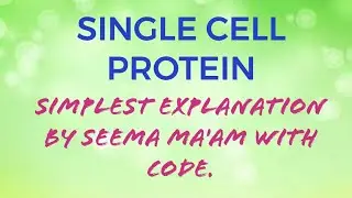 SINGLE CELL PROTEIN ( SIMPLEST EXPLANATION IN HINDI AND ENGLISH BOTH)//BSc//MSC//UPSC//IFS//ZOOLOGY