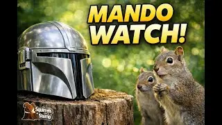 Mandalorian at the Stump 🪵🐿️ | Live Wildlife Cam 🐿️#LiveSquirrelCam, #Squirrels