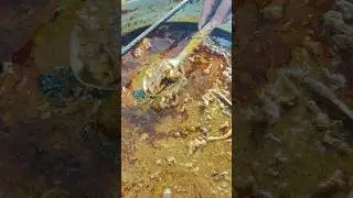 मात्र ₹150 में भर पेट Mutton चावल खिला रहे बादल भाई | #royyalacurry #streetfood #mutton #video