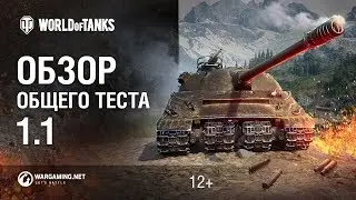 Обзор общего теста 1.1