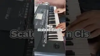 Korg Pa 600 QT tes scale E, As dan Cis