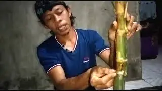 review bambu songgo langit yg begitu cantik buat di koleksi
