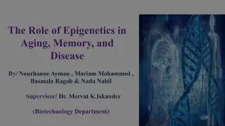 The role of Epigenetics in Aging Memory and disease by Nourhane Aymen,Mariam Mohammed,Basmala Ragab