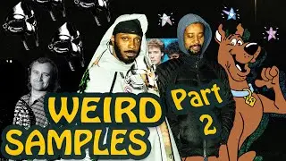 MORE Unexpected Samples in Hip-Hop | PART TWO