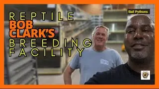 Bob Clark&rsquo;s Reptile Breeding Facility | #youtubevideos #snake #reptiles #pets