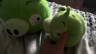 Angry Birds Crazy Series: Red Bird Gets Sick