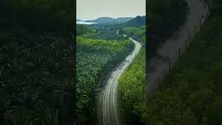 Highway through the heaven🇹🇭 #drone #adventure #relaxing #thailand #beautiful #shorts