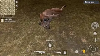 Hunting predators in American marksman ￼