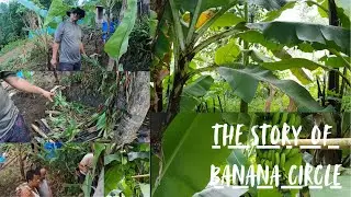 BANANA CIRCLE || GREY WATER MANAGEMENT SYSTEM || NATURAL WATER FILTER || PERMACULTURE || FARM LIFE
