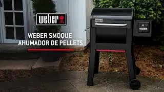 Como ajustar la temperatura de una sonda de alimentos en el controlador digital LCD de Weber Connect