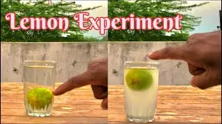 Lemon Experiment || Experiment Of Salt And Lemon + Water || MrAlpesh 