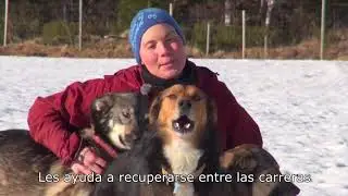 KrillVet - La musher Sigrid Ekran explica su secreto