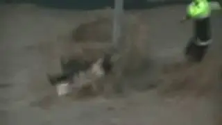 Flood Street Crossing Fail