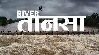 Tansa River | तानसा नदीला आलेला महापूर | Tansa River Overflow 2021 | Drone Shots Of Tansa River