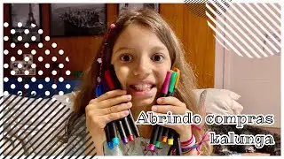 Abrindo Presente da Kalunga on-line
