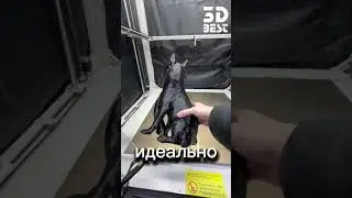 Elegoo OrangeStorm Giga - печатаем заказ! Тестируем возможности гигантского принтера #3dprinting