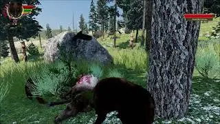 WolfQuest AE: Ultra Iron Wolf Koko #9 ~ Overprotective Much