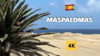 DUNES OF MASPALOMAS: FROM DESERT TO THE OCEAN