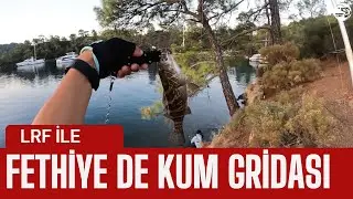 MUĞLA /FETHİYE LRF İLE VANTUZ ,GRİDA AVI