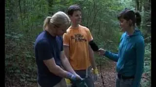 Deutsch - Die Waldfreunde sammeln S&auml;cke mit M&uuml;ll