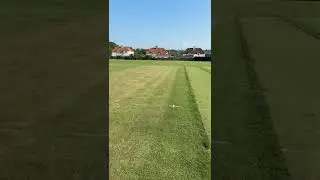 New grass wicket   Polwarth
