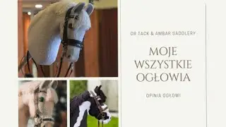 All my bridles 🤝 | Ambar Saddlery, OR Tack, Sarisa Equipment, MCH | honest opinion