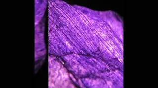 sinc-in-time -- BR1C01