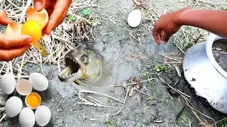 Fish in the under-ground || Easy trap fishing || unique easy fish trap system || Daily Fishing Tube